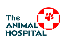 Arrowview Animal Hospital Boarding - Get More Anythink's